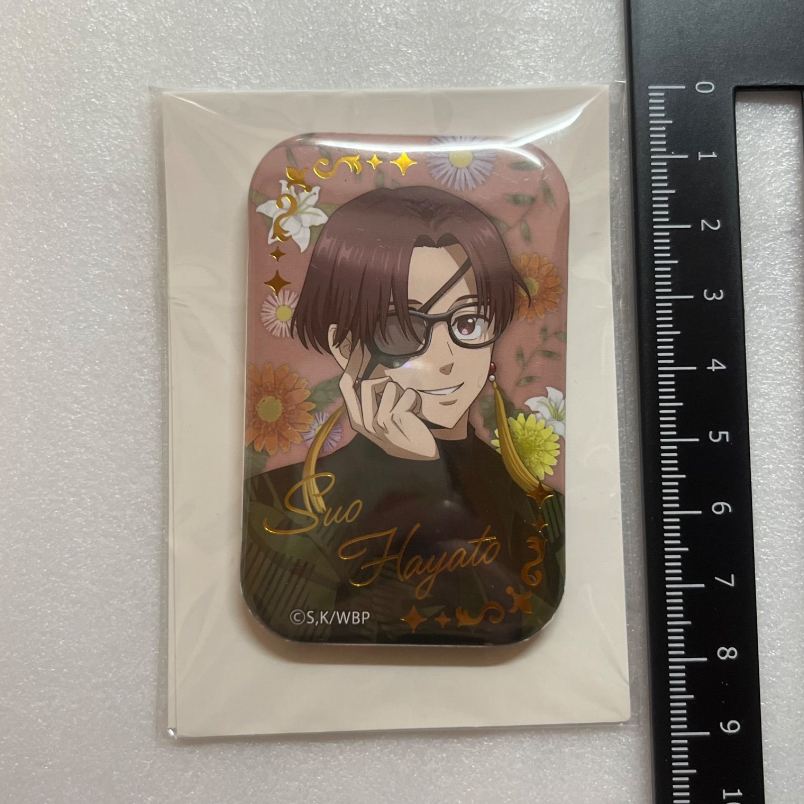 WIND BREAKER スクエア缶バッジ Glasses 蘇枋隼飛 V4 - メルカリ