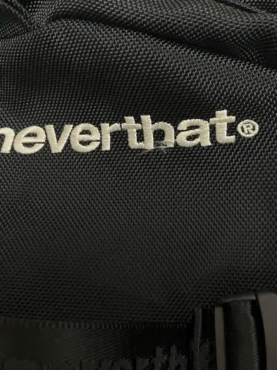 2020 NEW ERA ディスイズネバーザット tntバックパック