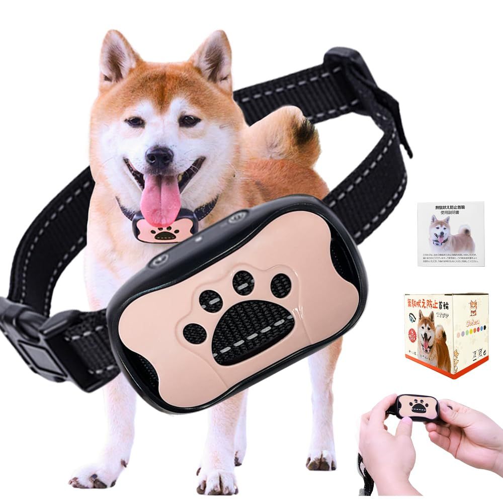 お宝軒@プロフ必読 専用Hart BALSIP I 165cm ハート バルシッ