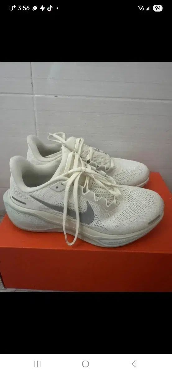 ナイキ ペガサス41 ランニングシューズ アイボリー 250