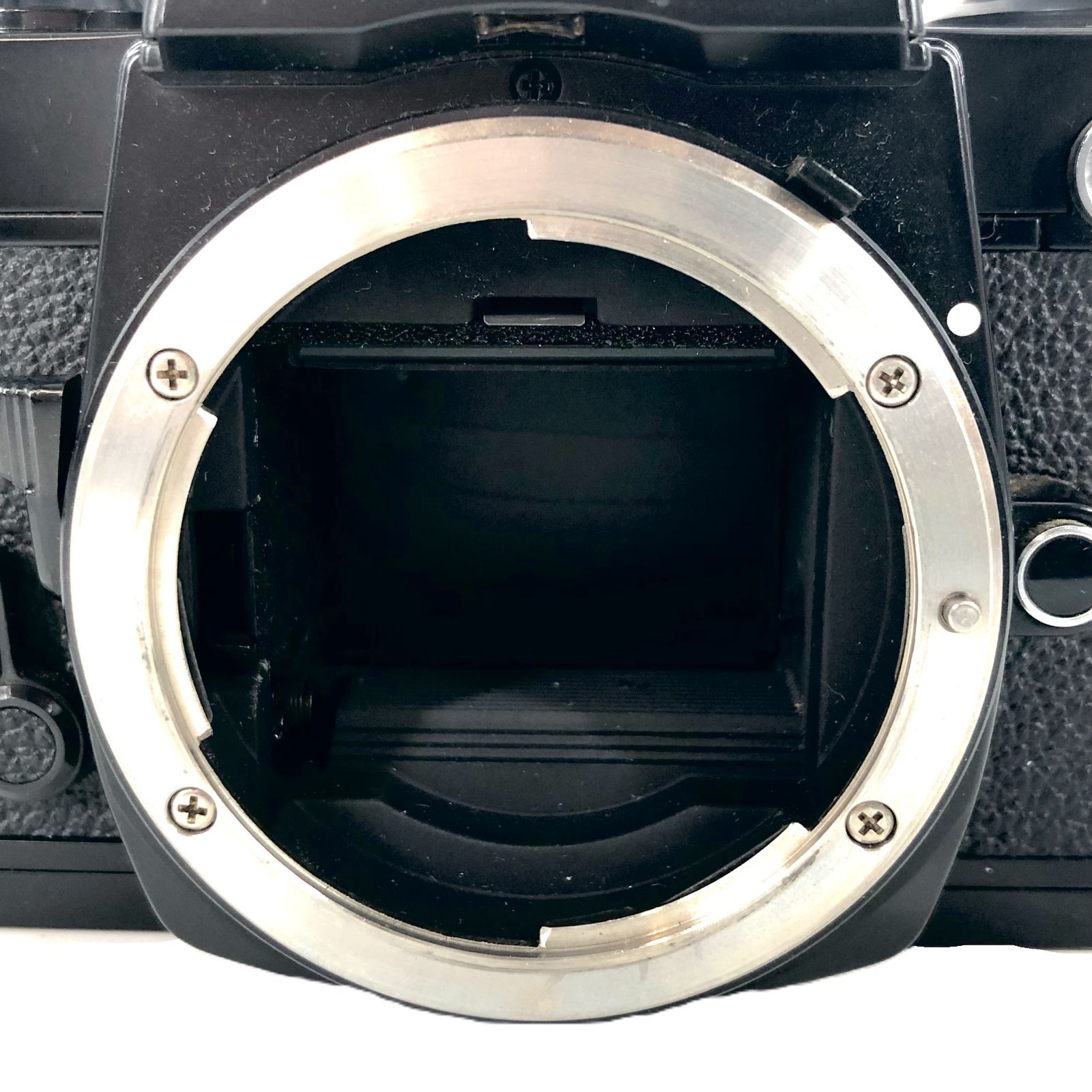 ブラック ボディのみ