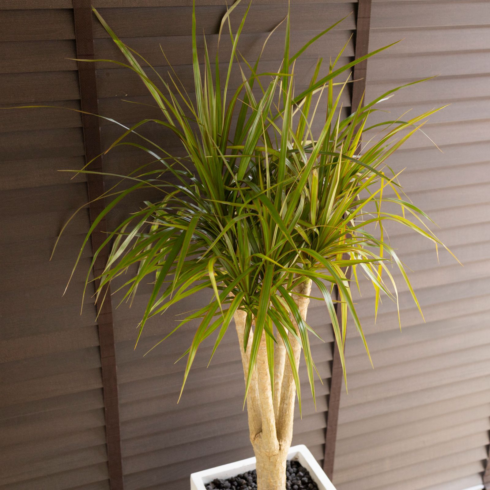 コンシンネ 軽量グラスファイバーポット