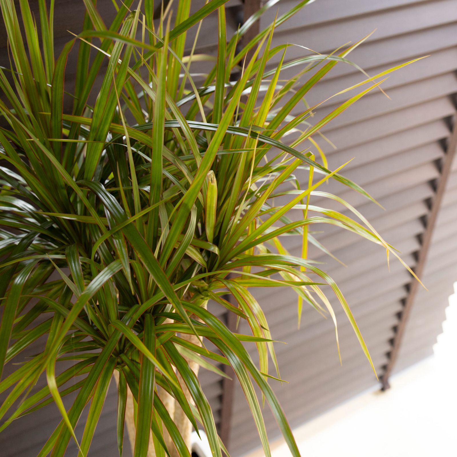 軽量グラスファイバーポット