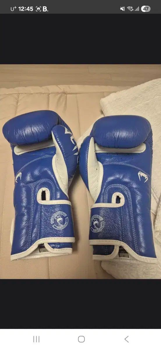 VENUM ヴェナム ジャイアント3 0 ボクシンググローブ 14オンス