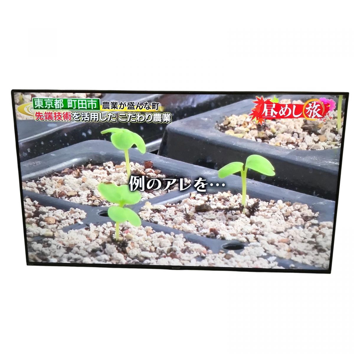 液晶テレビ 50インチ SHARP シャープ AQUOS アクオス 製 4 K T C 50 FL 1 埼