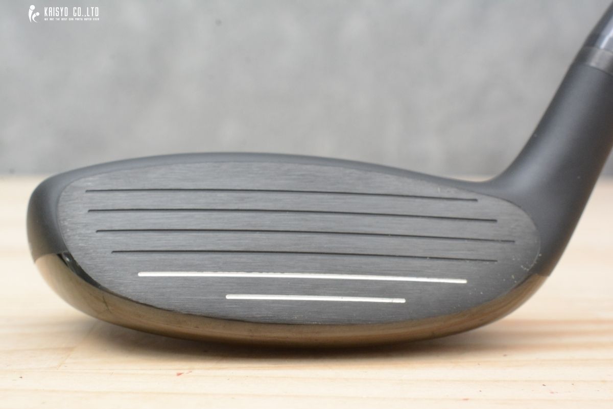 フレックスR レイ