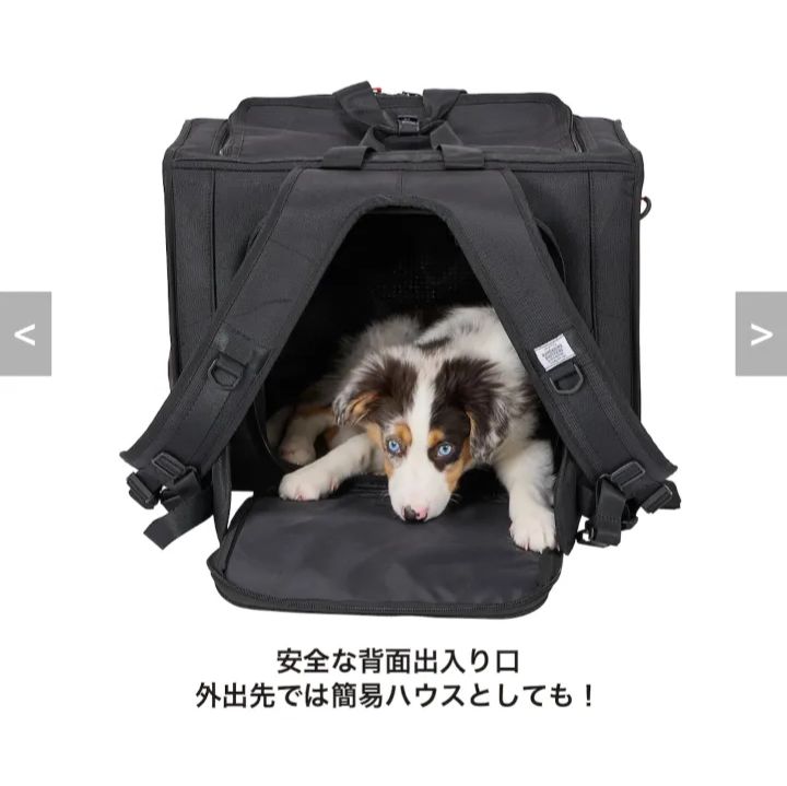 マンダリンブラザーズ ブリクストンキャリーバックパック ワイド