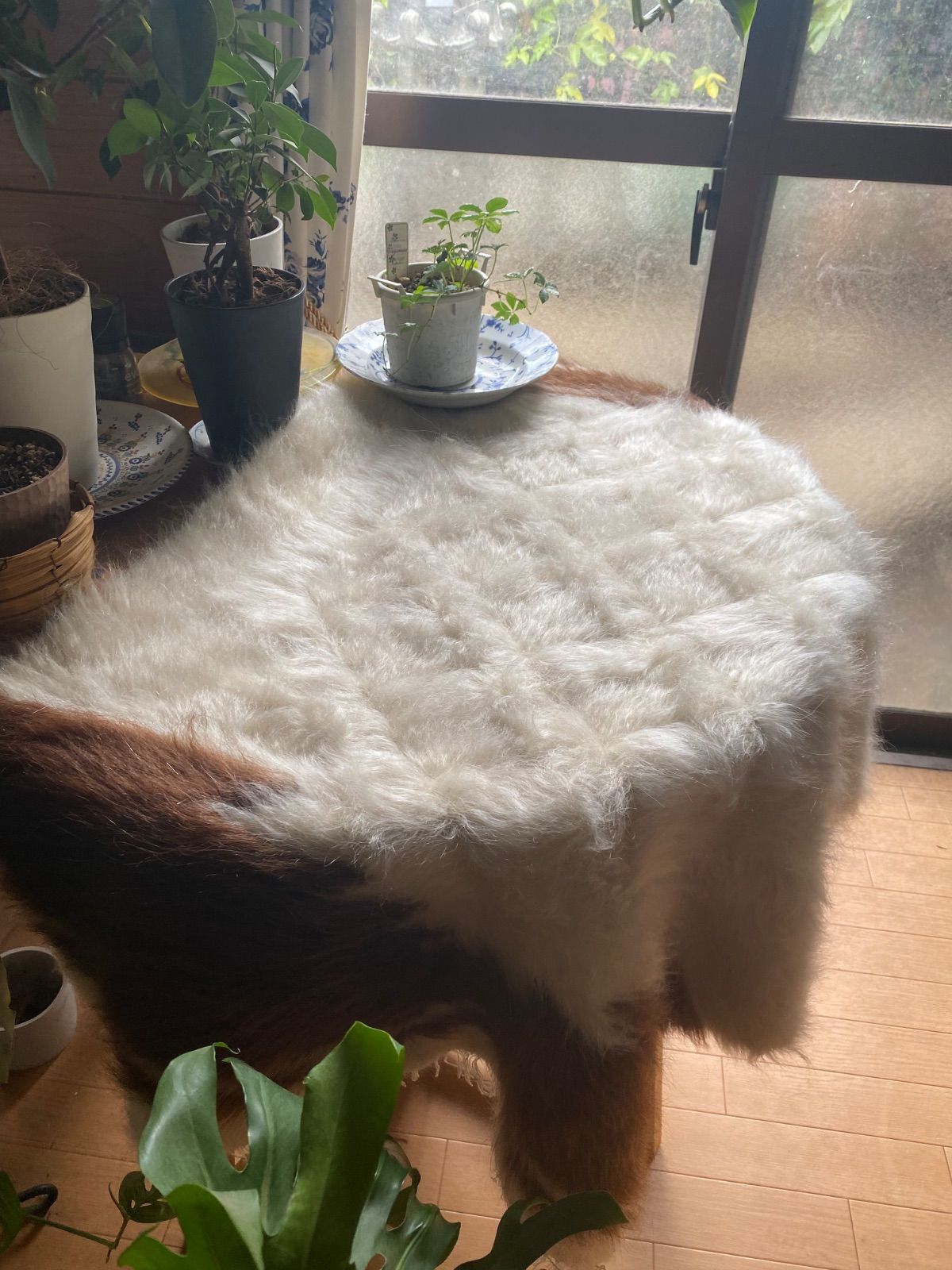 当店現地より直輸入 卸売価格