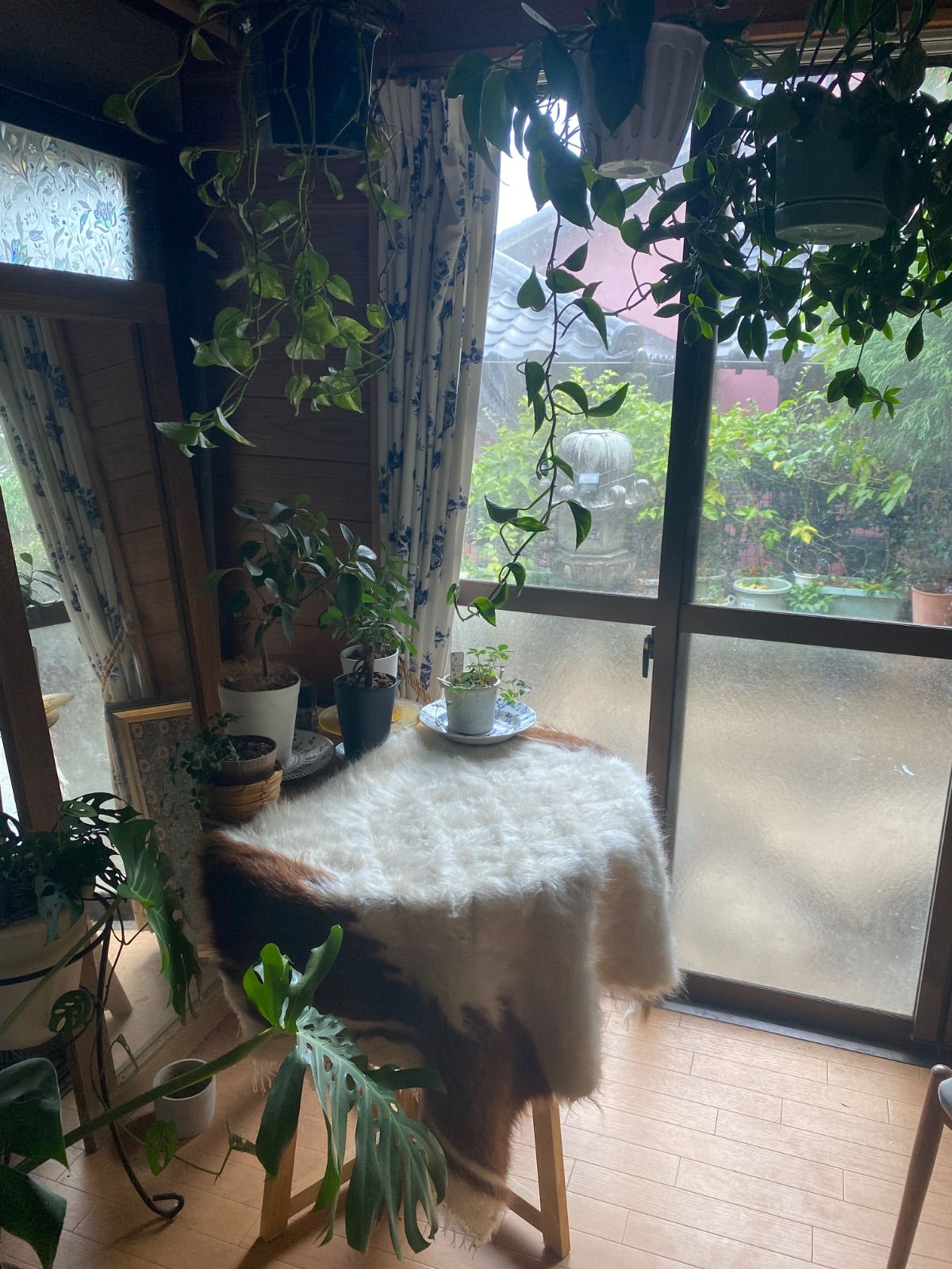 当店のみの質と価格