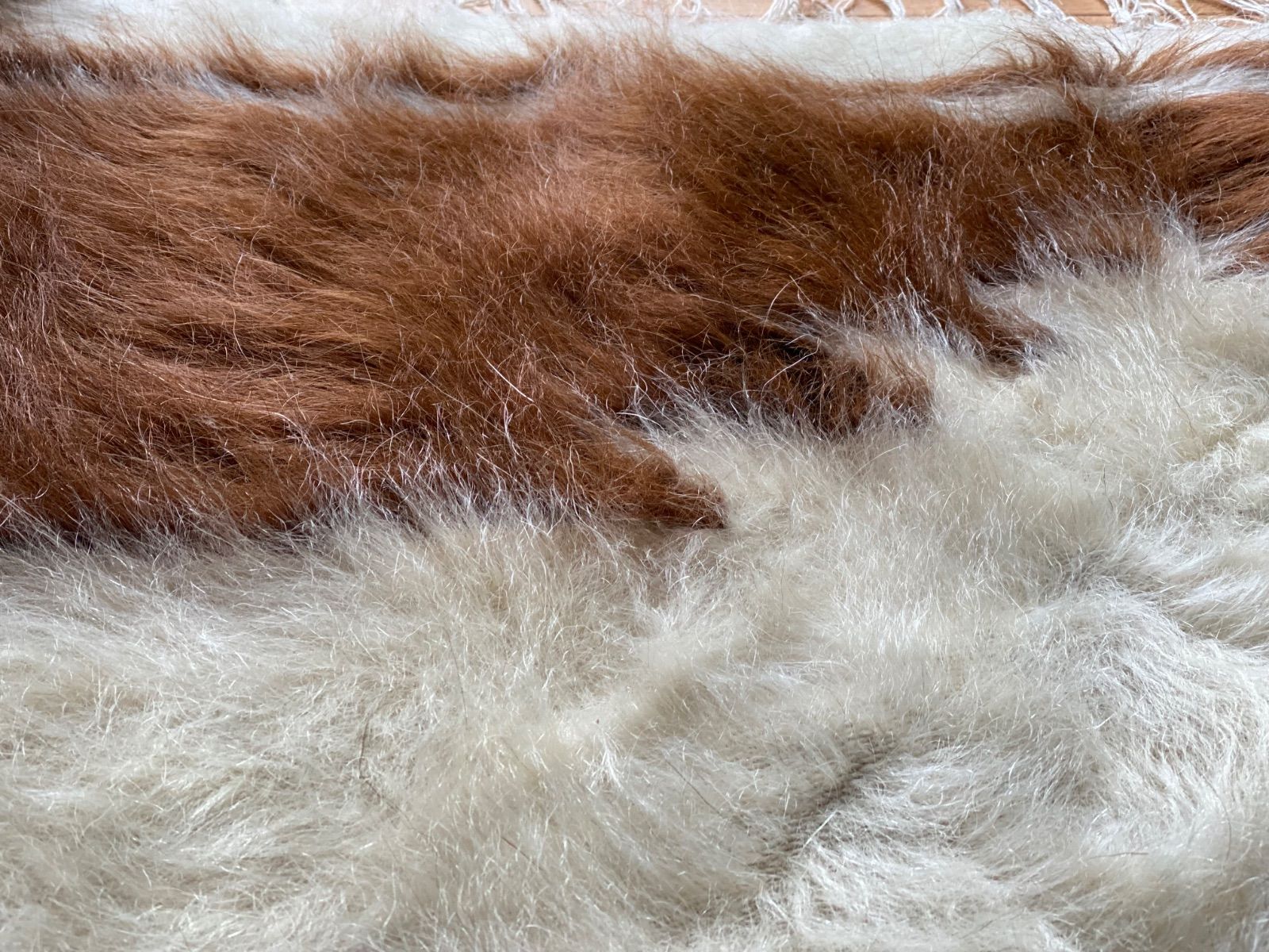 当店のみの質と価格 ラグだけではなく