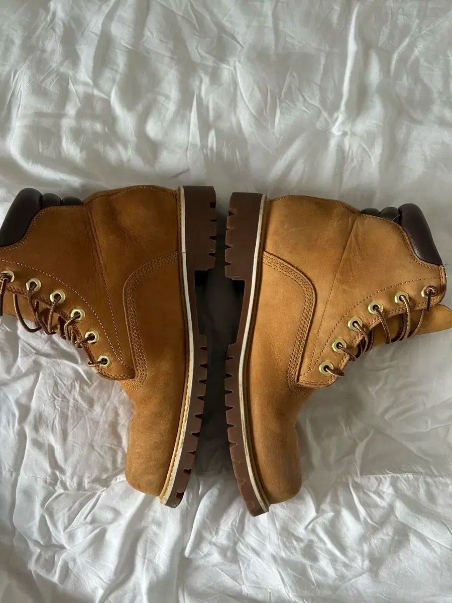 ウォーター ループ