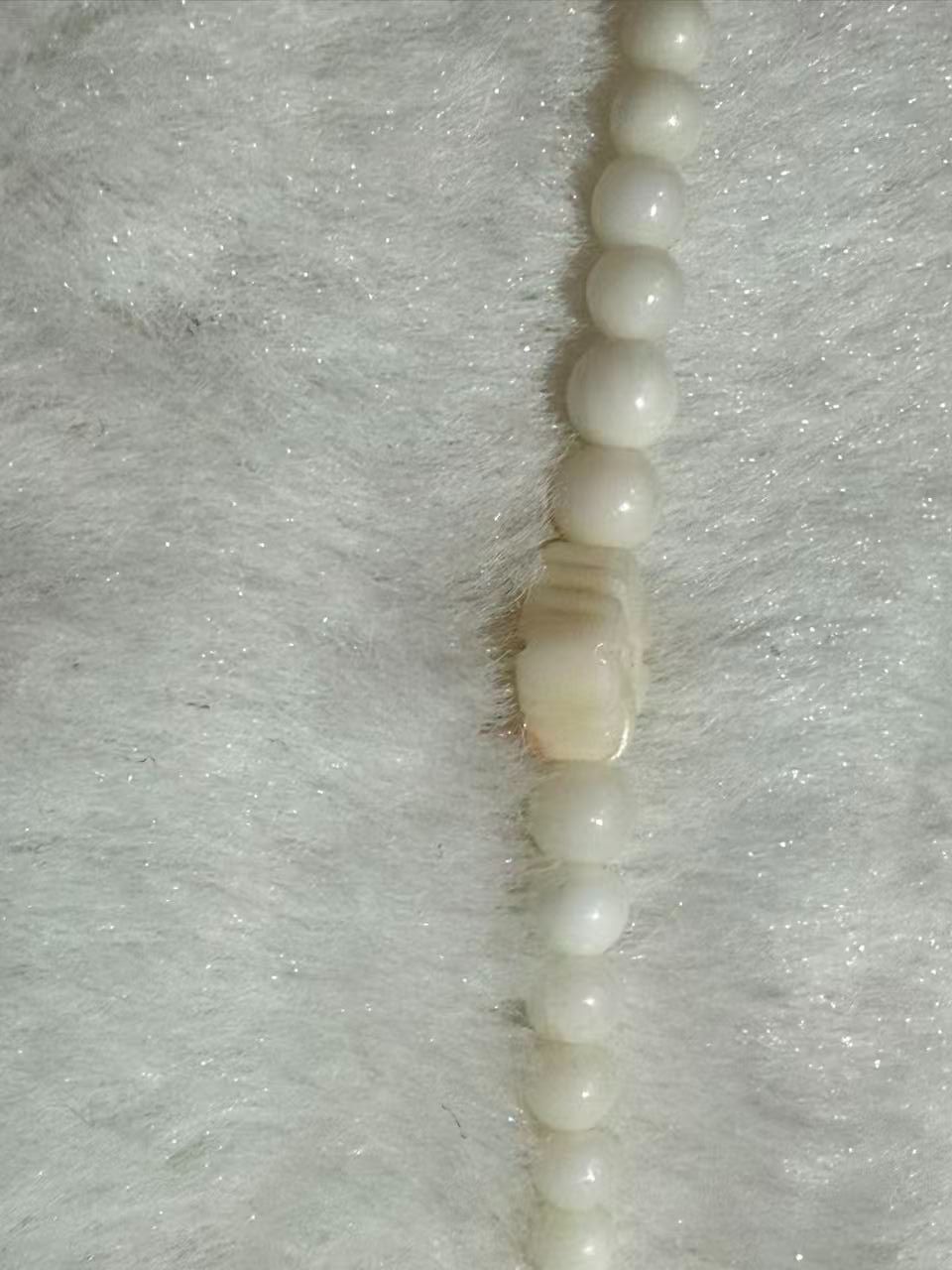 白珊瑚 ピンク珊瑚