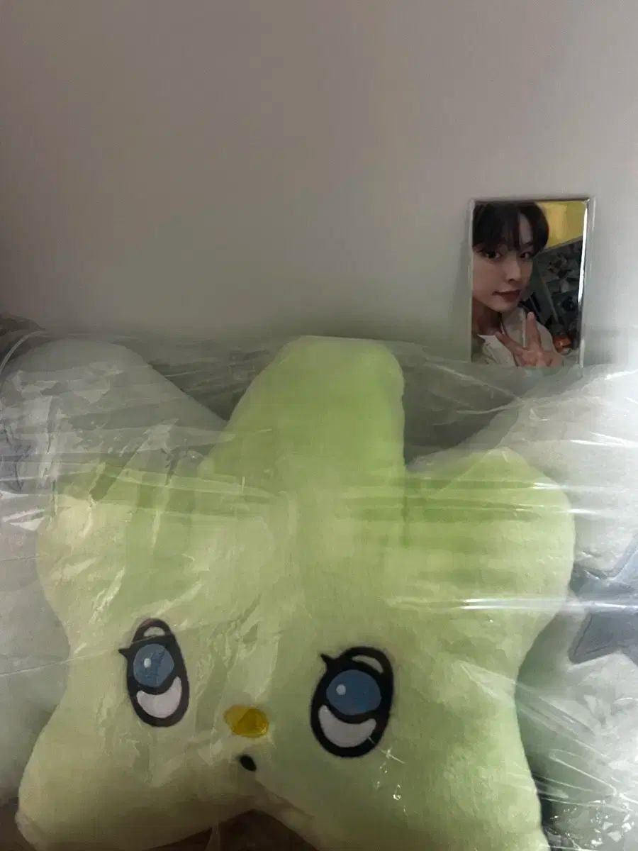 CHUUクッション LEE クッション SHEON バージョン