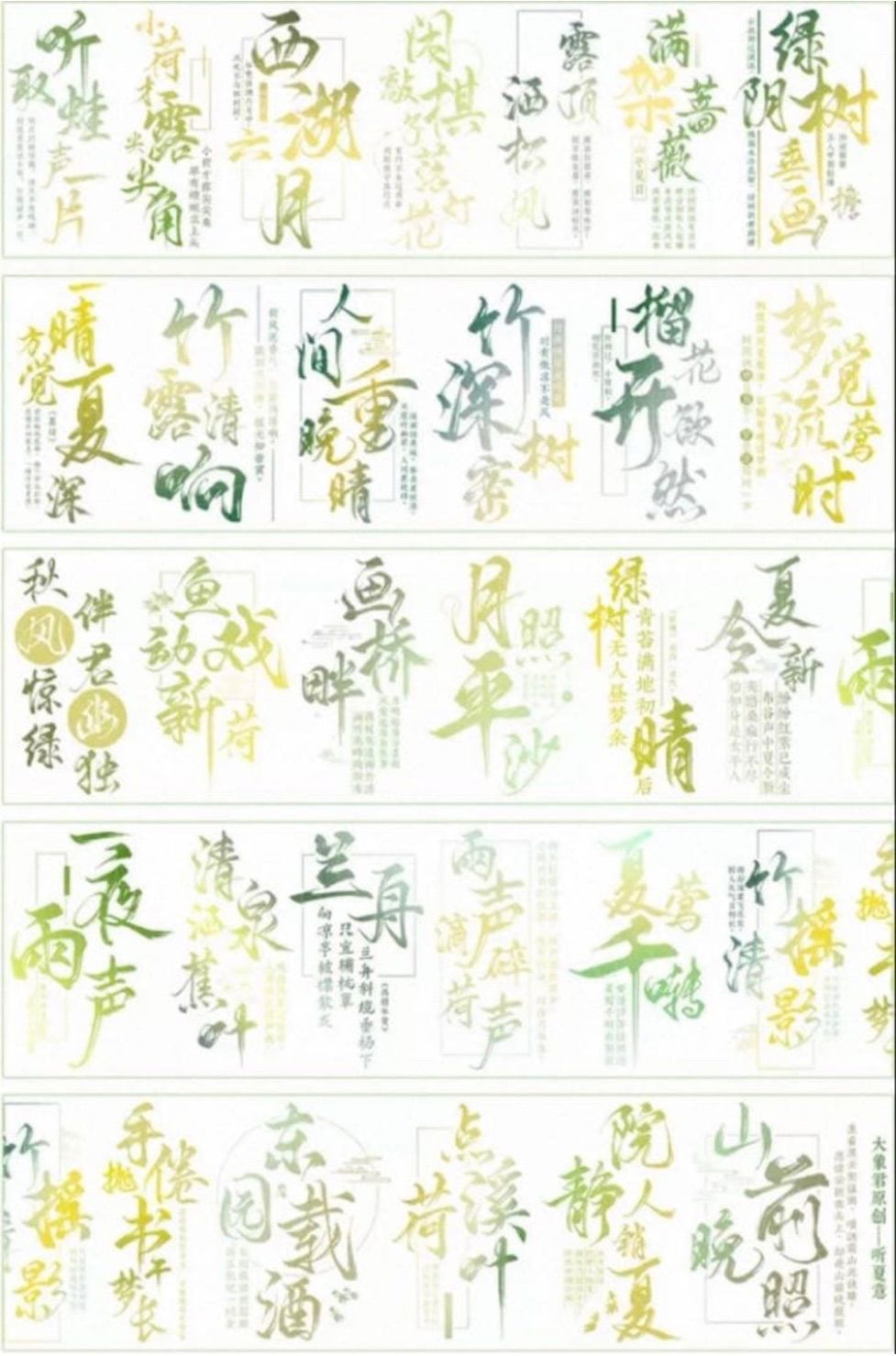 贝壳光 听夏意 6cm×5m 100cm/loop 海外マスキングテープ 海外マステ