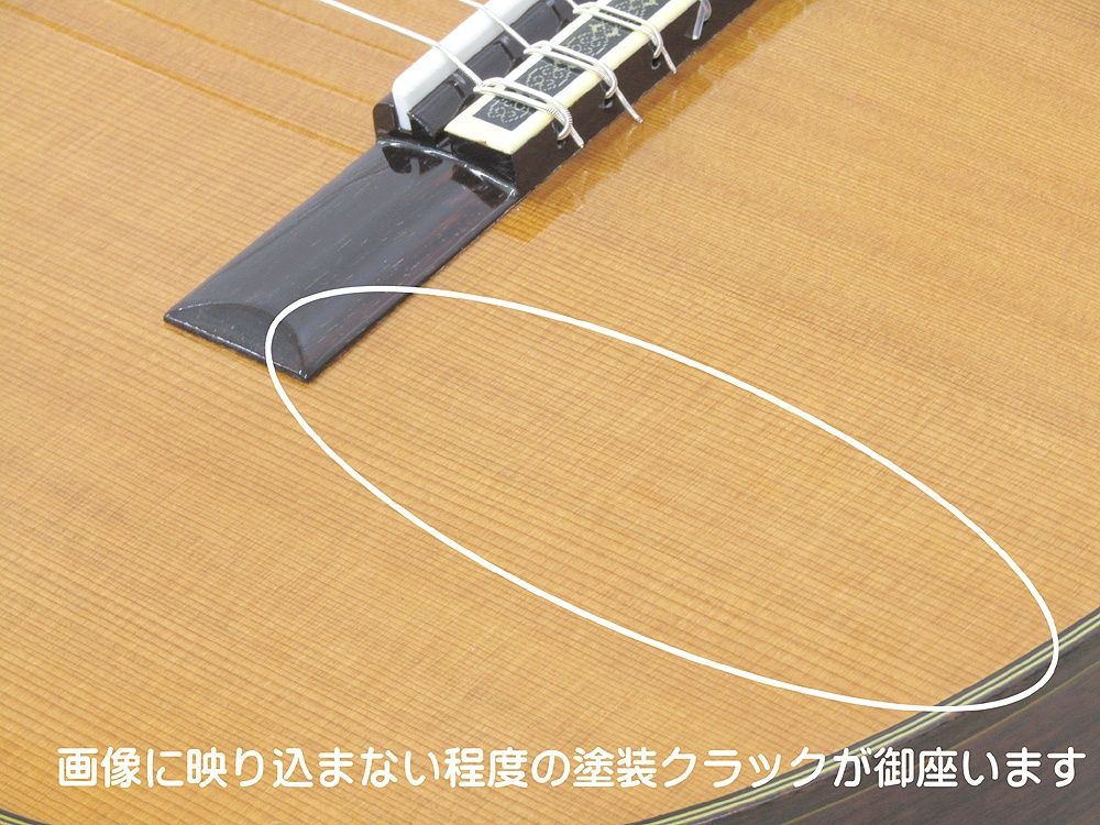 純正ハードケース付属 現状品