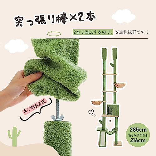 ぺテぺラ キャットタワー 突っ張り スリム 多頭飼い サボテン コンパクト つっぱり ハンモック 3 爪研ぎ つめとぎ 省スペース 運動不足解消 おもちゃ シンプル かわいい グリーン 高さ調整幅216 285 cm f 1 de 3952