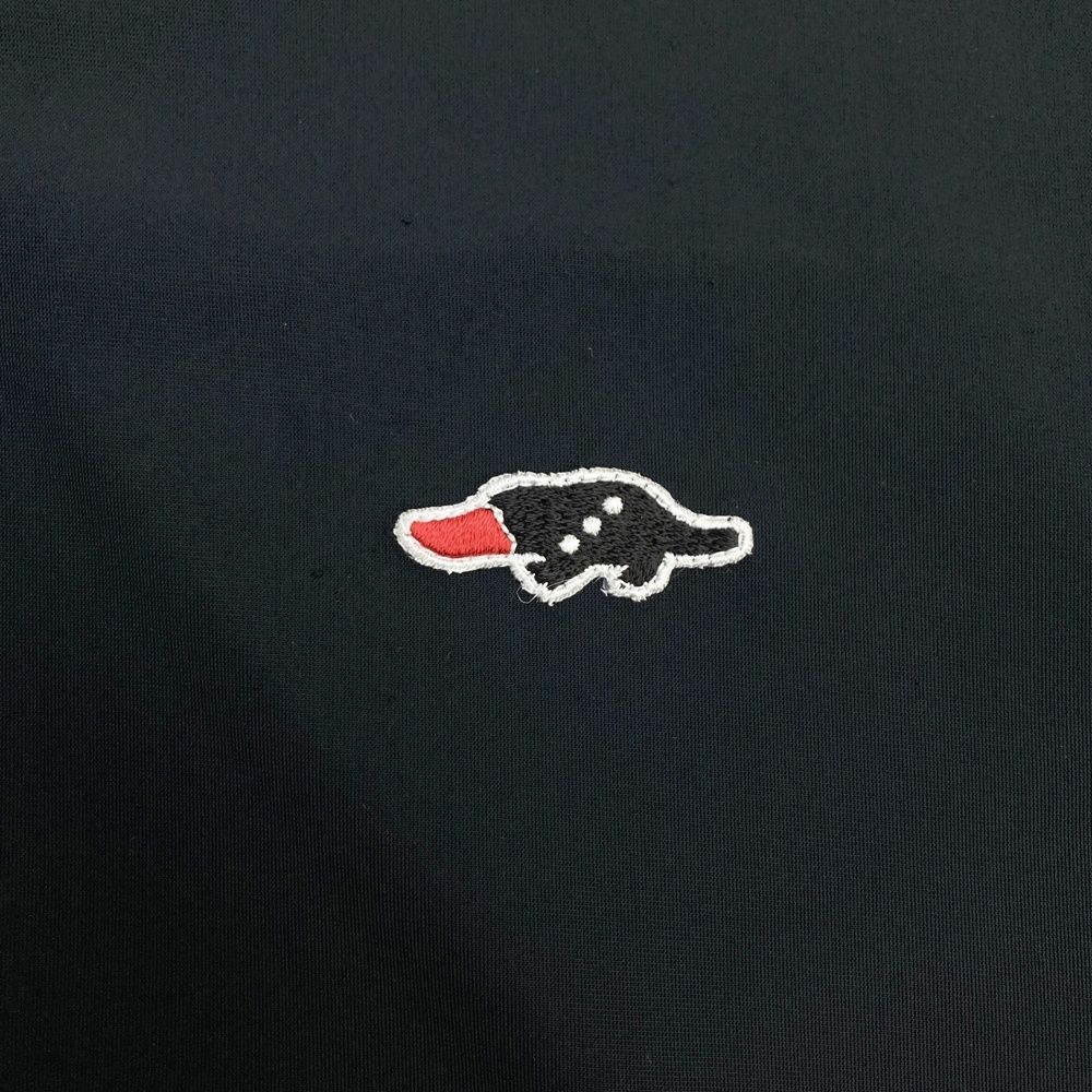 ラフアンドスウェル モデル