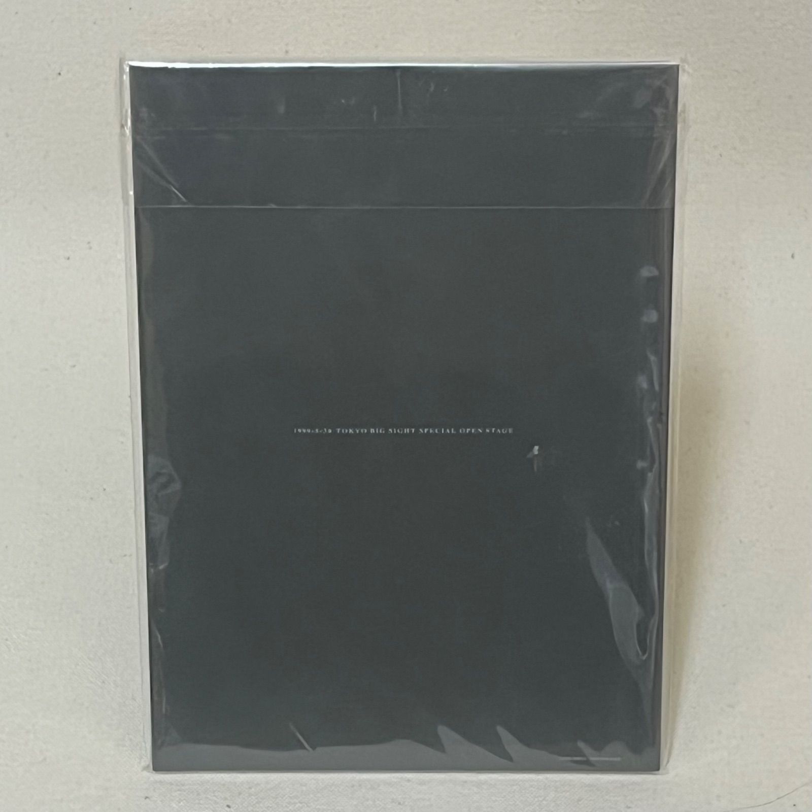 10 TH ANNIVERSARY GIG NEVER SOLD OUT CAPACITY ∞ ルナシー