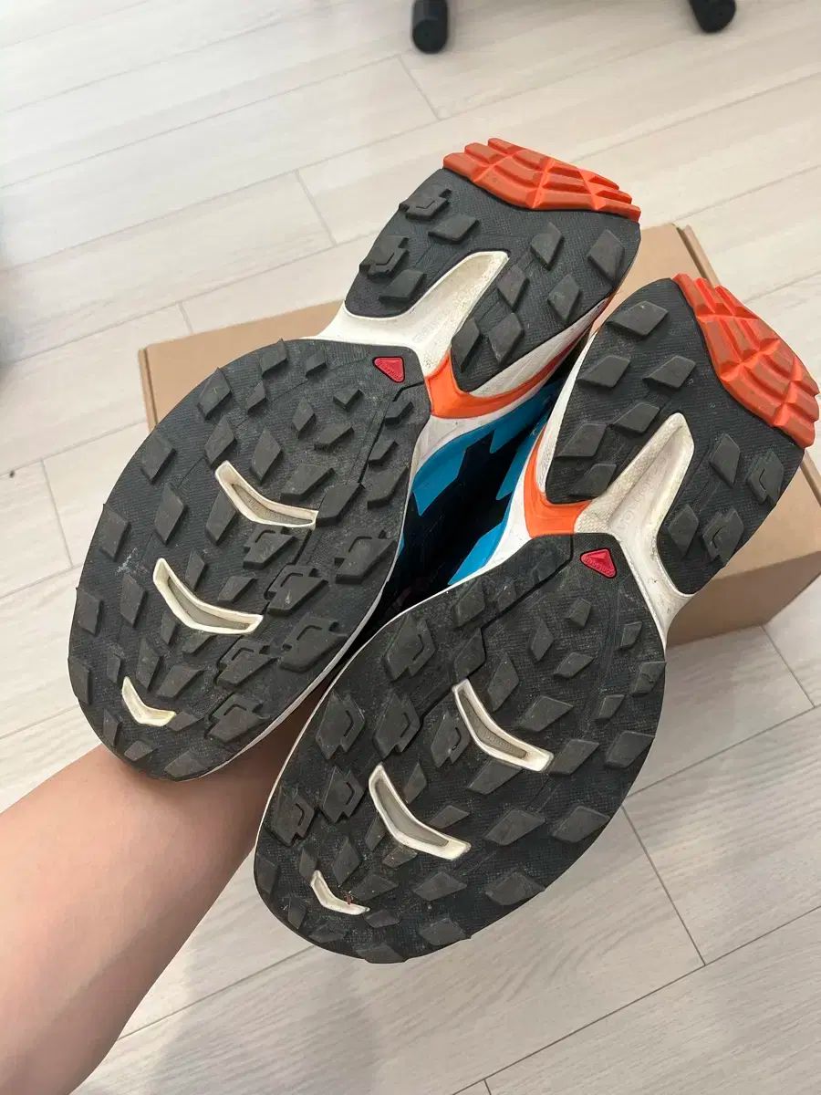 新品続々入荷中！ 270 SALOMON XT-wings 2