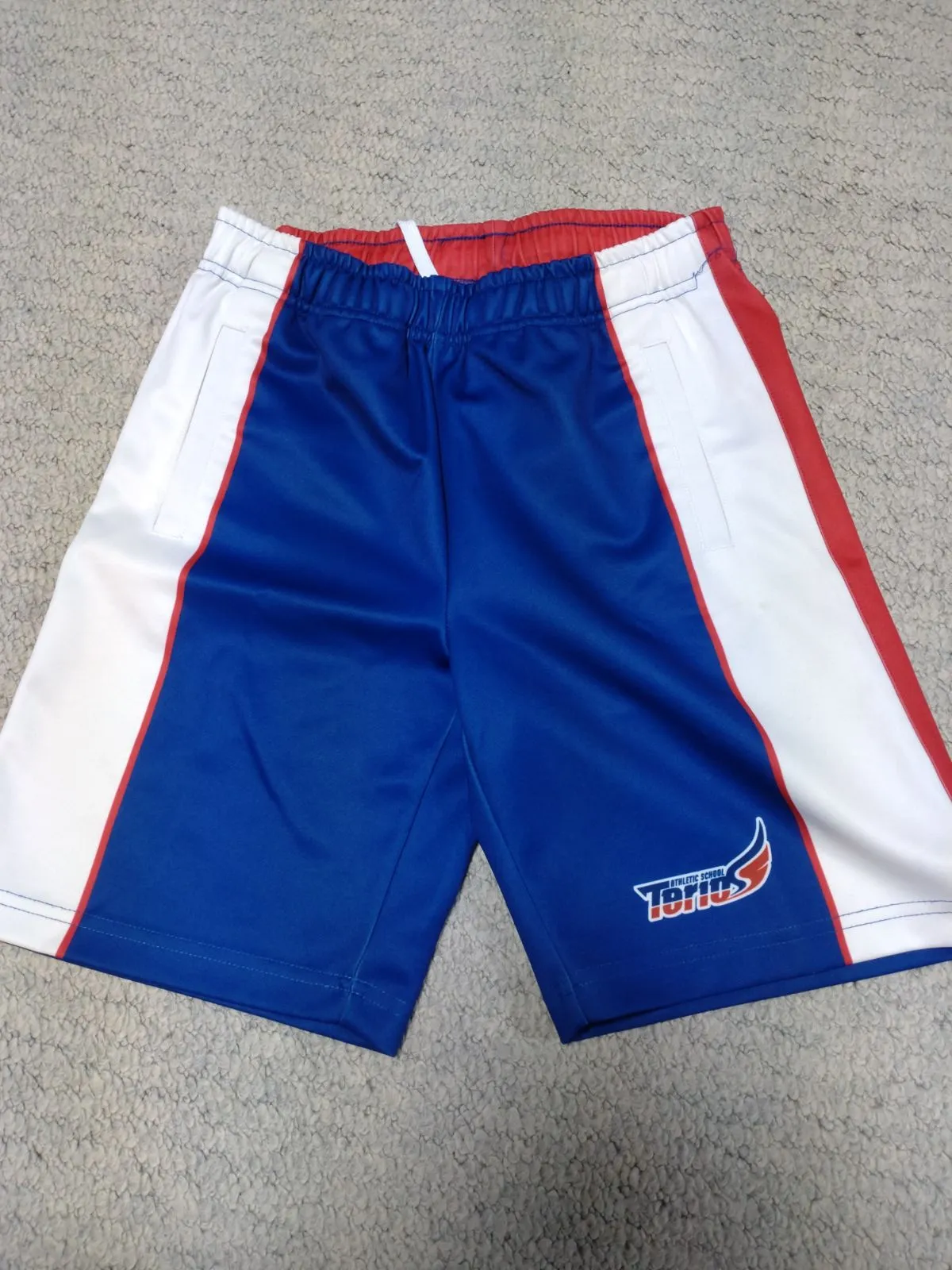 2026年最新】テリオスアスレチックの人気アイテム - メルカリ