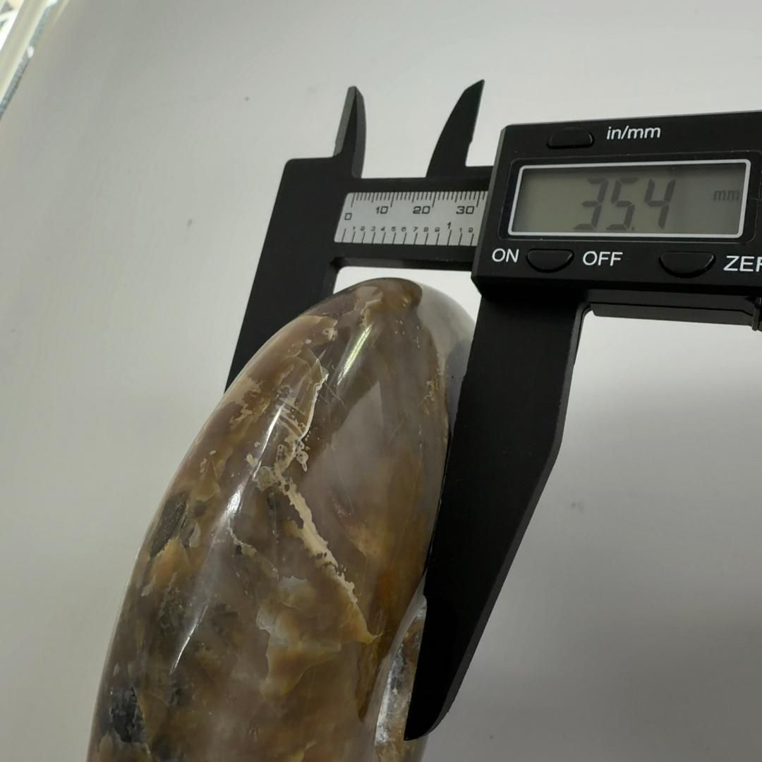 E31892 レッドファイヤーアンモナイト 化石 クリオニセラス アンモナイト 化石標本