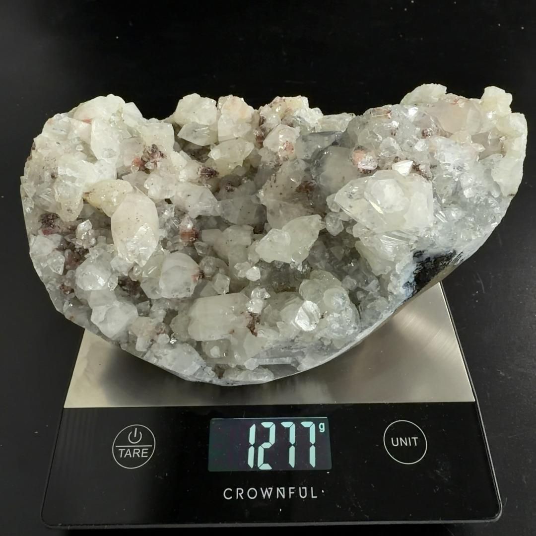 廃盤】 中野テルヲ カナリア Pilot Run #7 など BS-1013