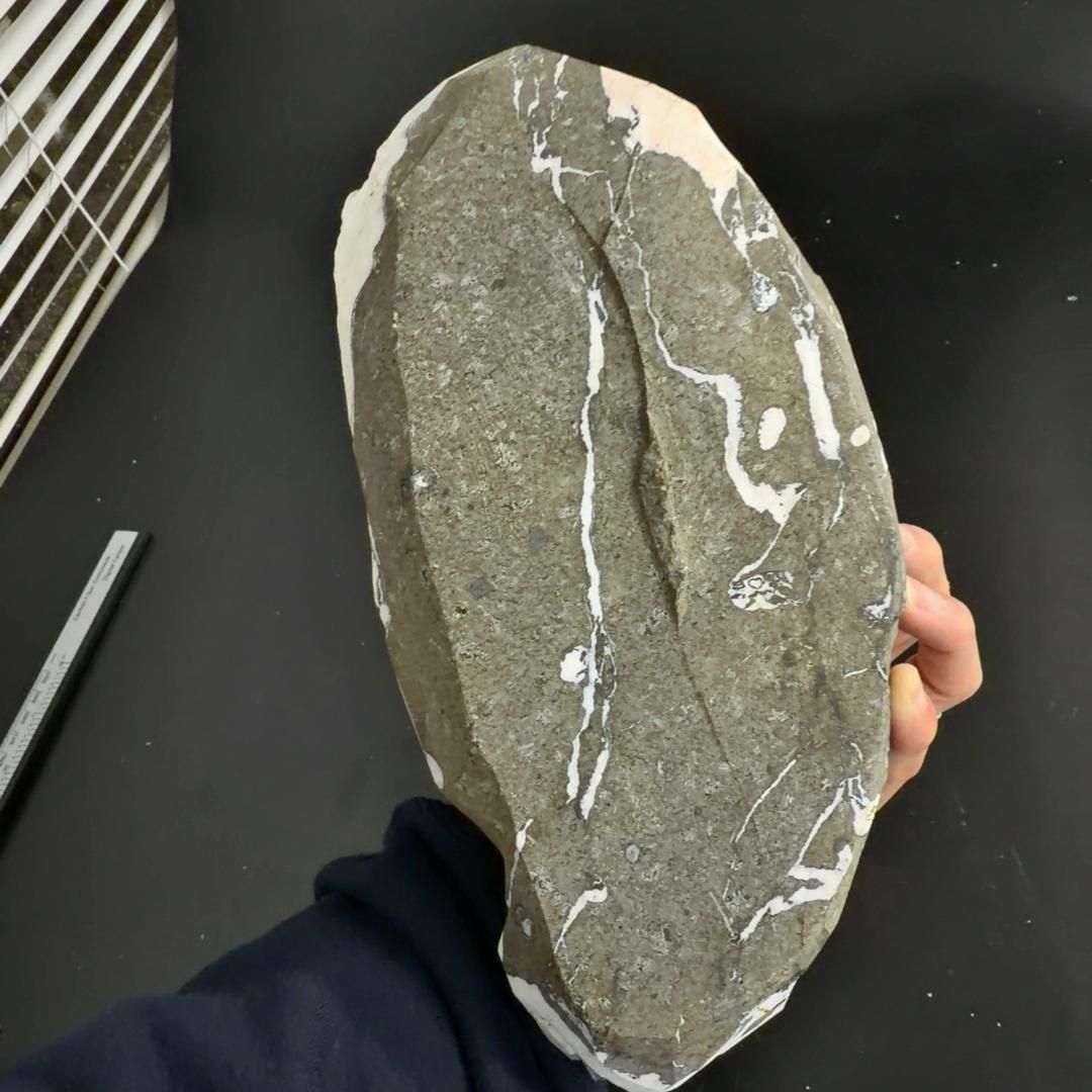 アポフィライト