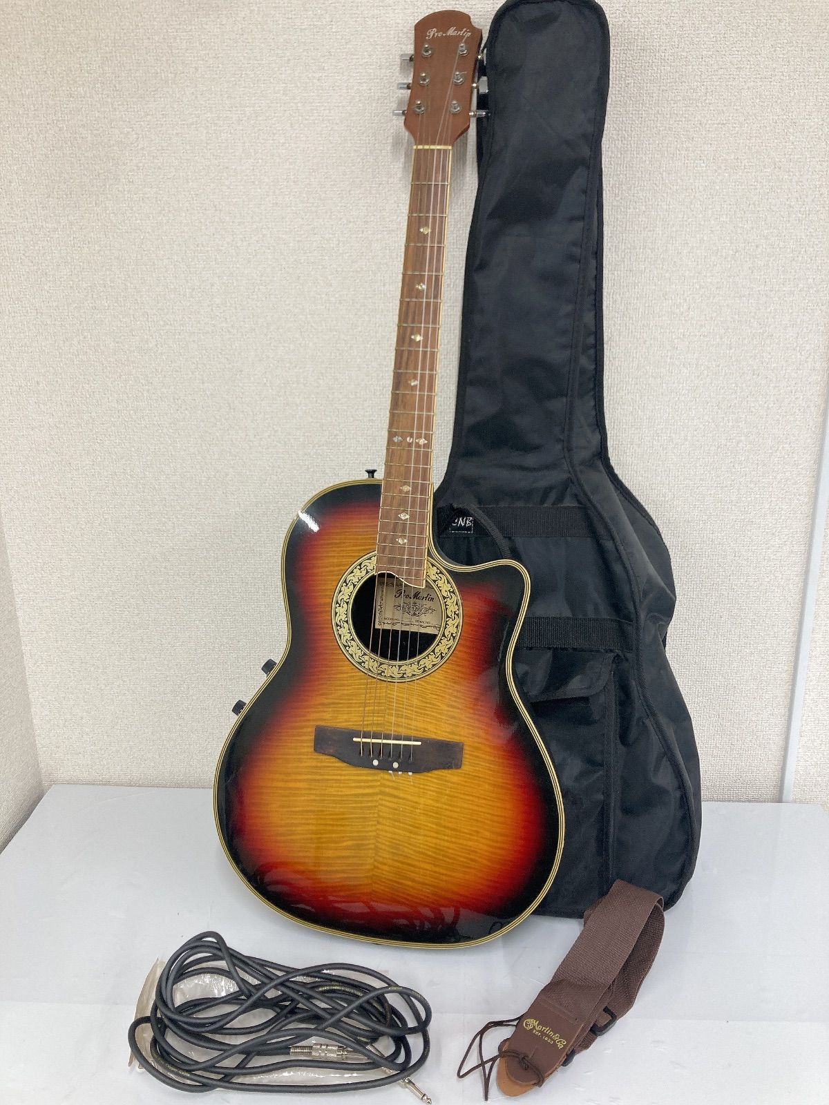 0 通電動作未 ProMartin プロマーチン EA-350V8 楽器 3