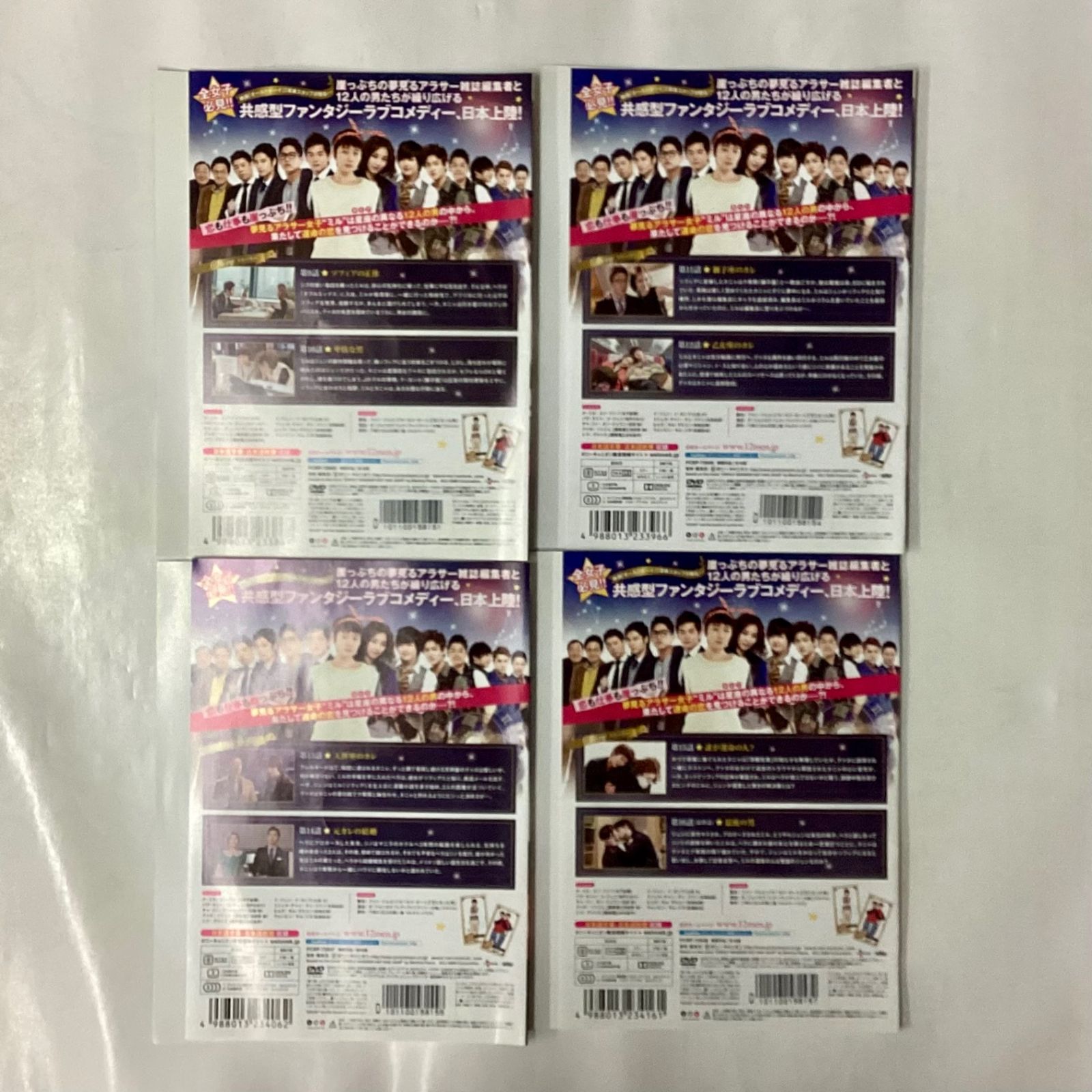 韓流ドラマ ツインセット⑦ 1年に12人の男 全8巻+ラブレイン 全10巻