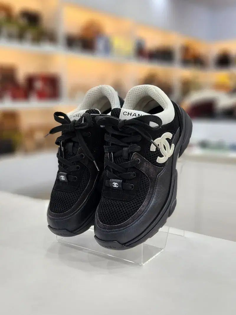 スウェード ロートップ