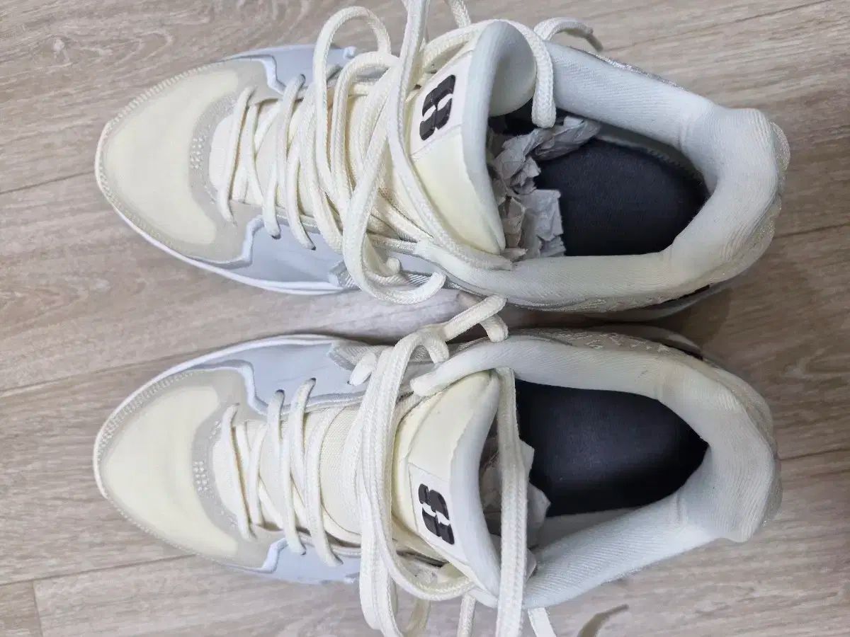 ナイキ サブリナ2 ウィメンズ 260