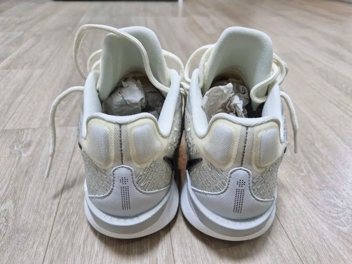 ナイキ サブリナ2 ウィメンズ 260