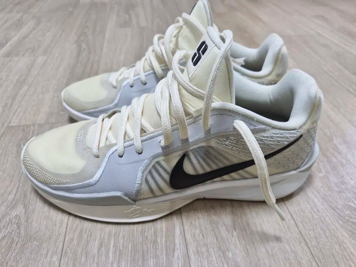 ナイキ サブリナ2 ウィメンズ 260