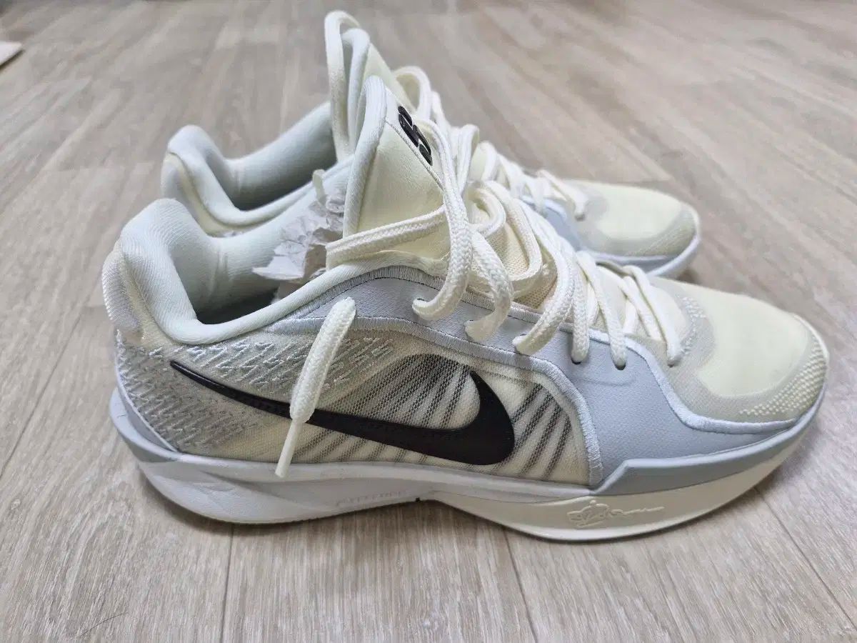 ナイキ サブリナ2 ウィメンズ 260