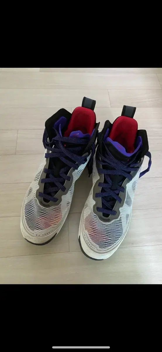 ジョーダン RJ XXXVII バスケシューズ 270