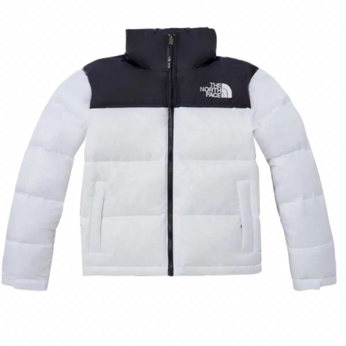 THE NORTH FACE ザノースフェイス レディース 1996 エコー ヌプシ ジャケット 白 s