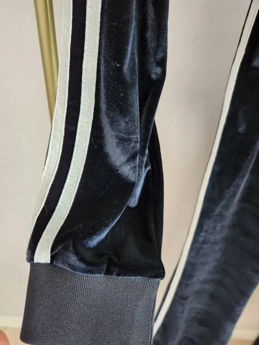 ノルディ ベルベット トレーニングウェア セット