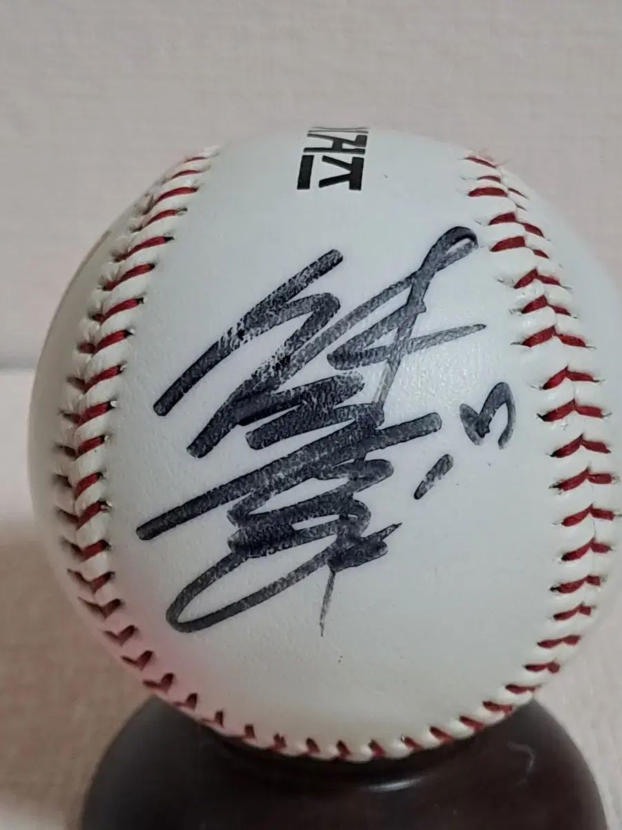 ヘテ タイガース