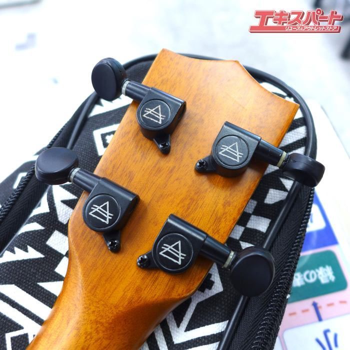 コンサート ウクレレ