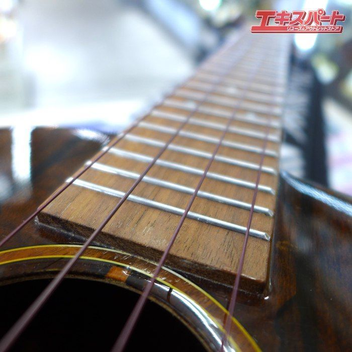 ボンダイ コンサート