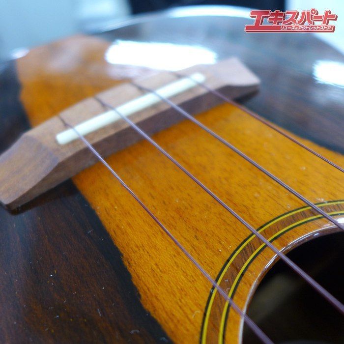 ボンダイ コンサート