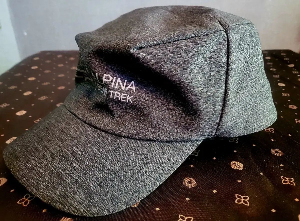 センターポール アリーナ 取り外しライナー 耳あて 帽子