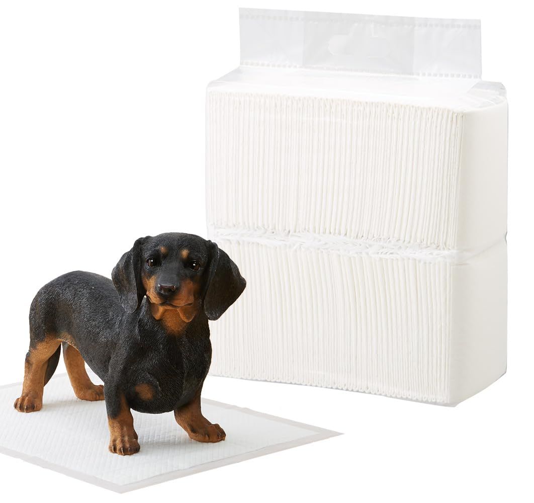 アニメK 周防尊 色紙 K SEVEN STORIES