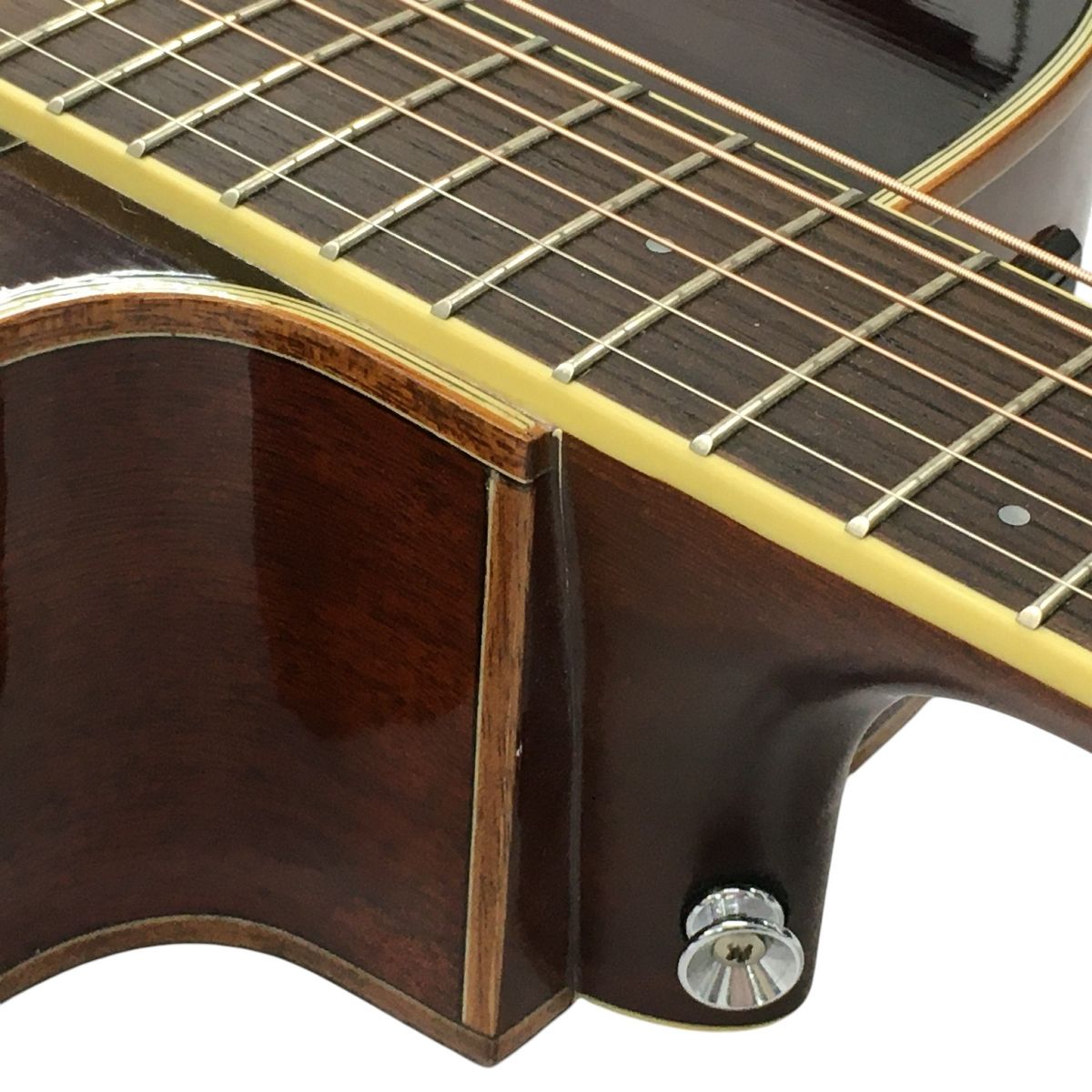 コ アコースティックギター