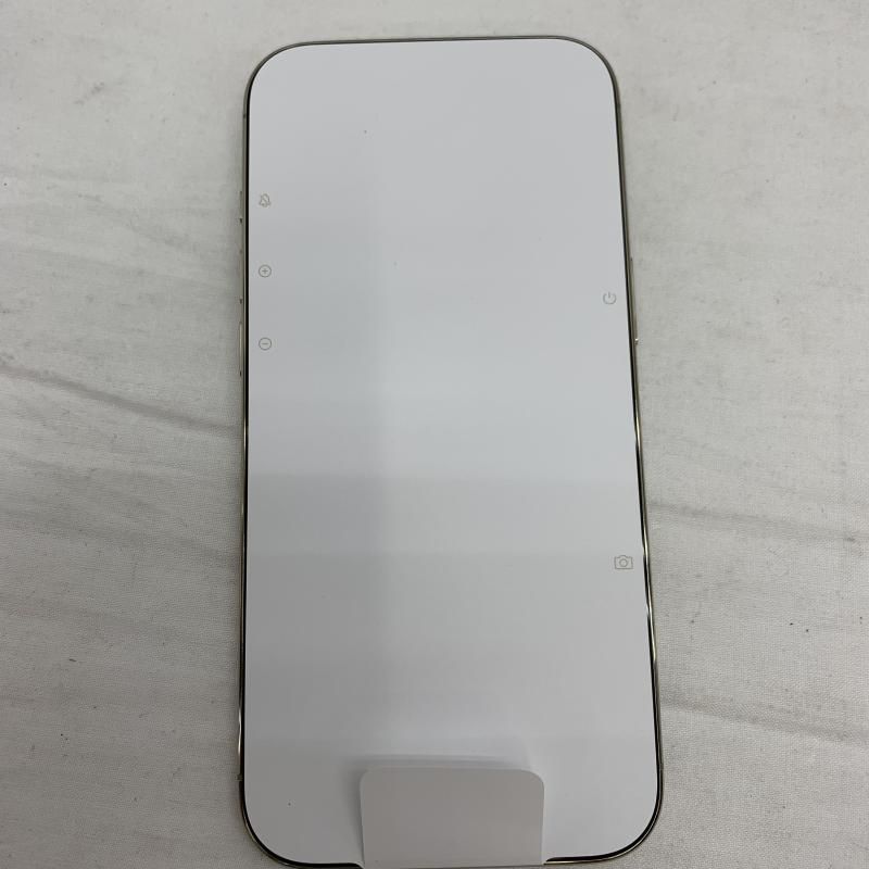 SIMﾌﾘｰ iPhone Air 256GB ﾗｲﾄｺﾞｰﾙﾄﾞ 91 MEBLE-SODAR_PL