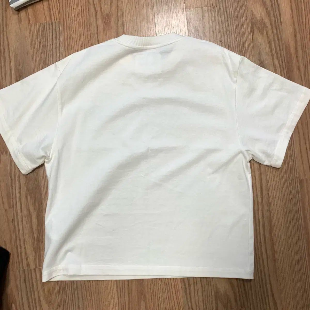  ジルサンダー ロゴ 半袖 Tシャツ s 半袖(Tシャツ) Tシャツ カットソー