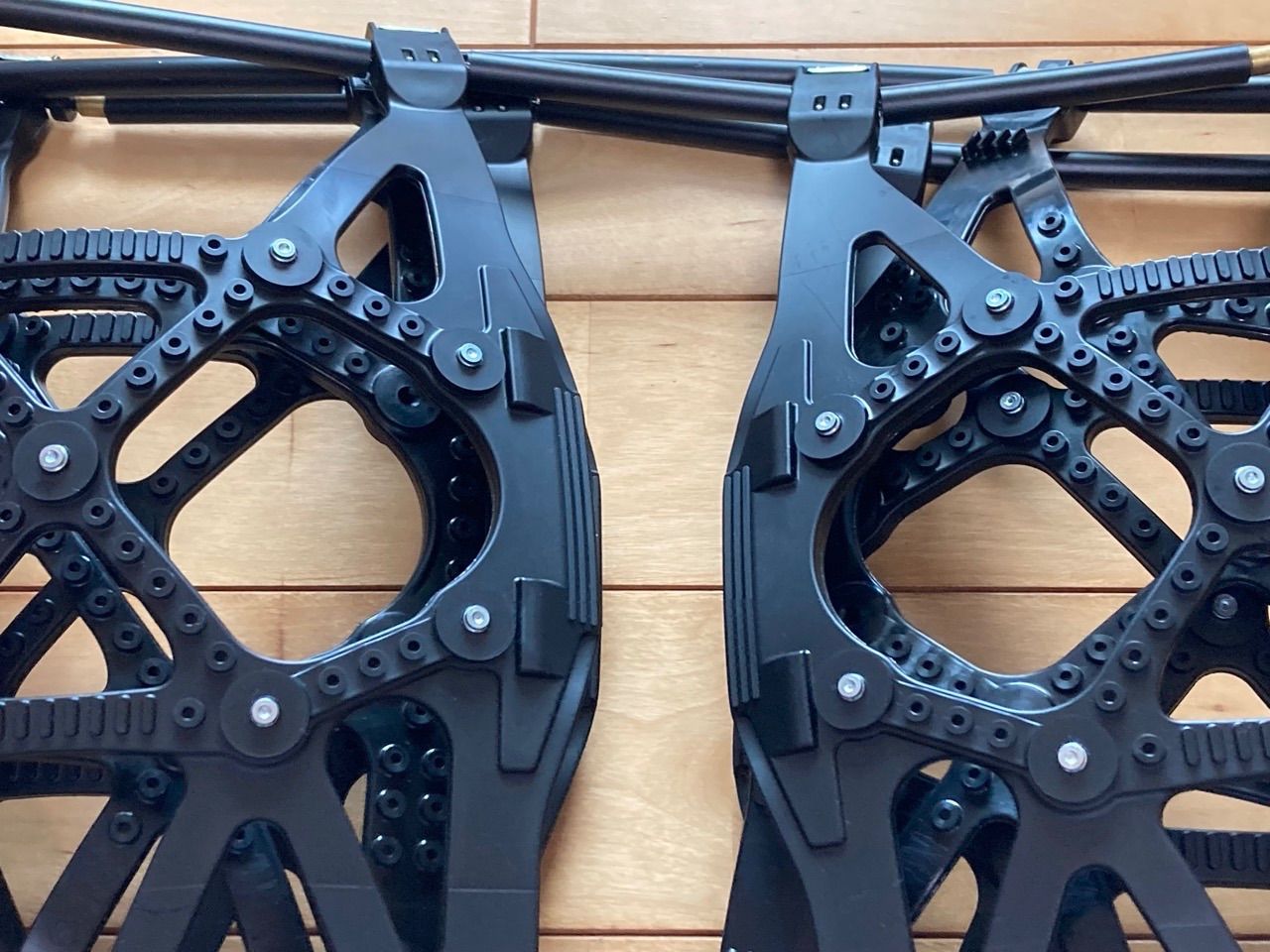 056 バイアスロンQE