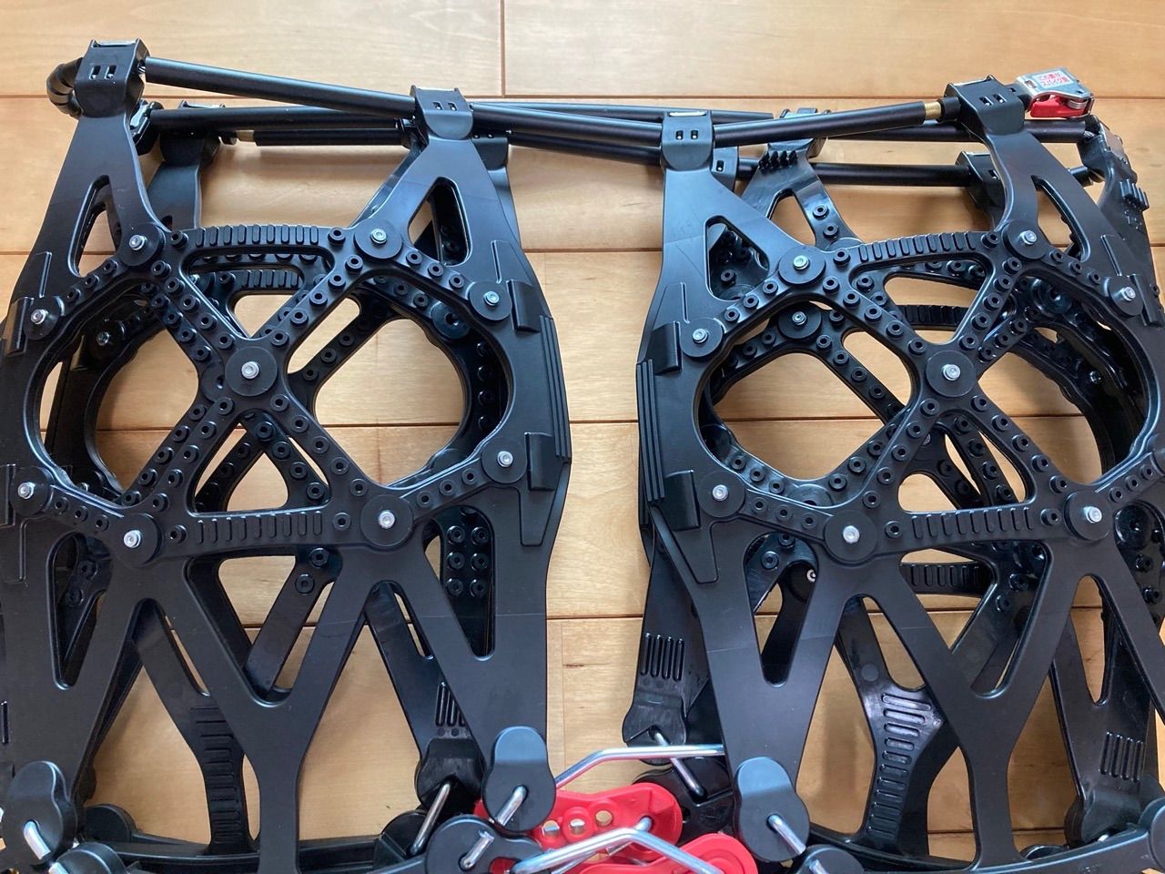 バイアスロンQE