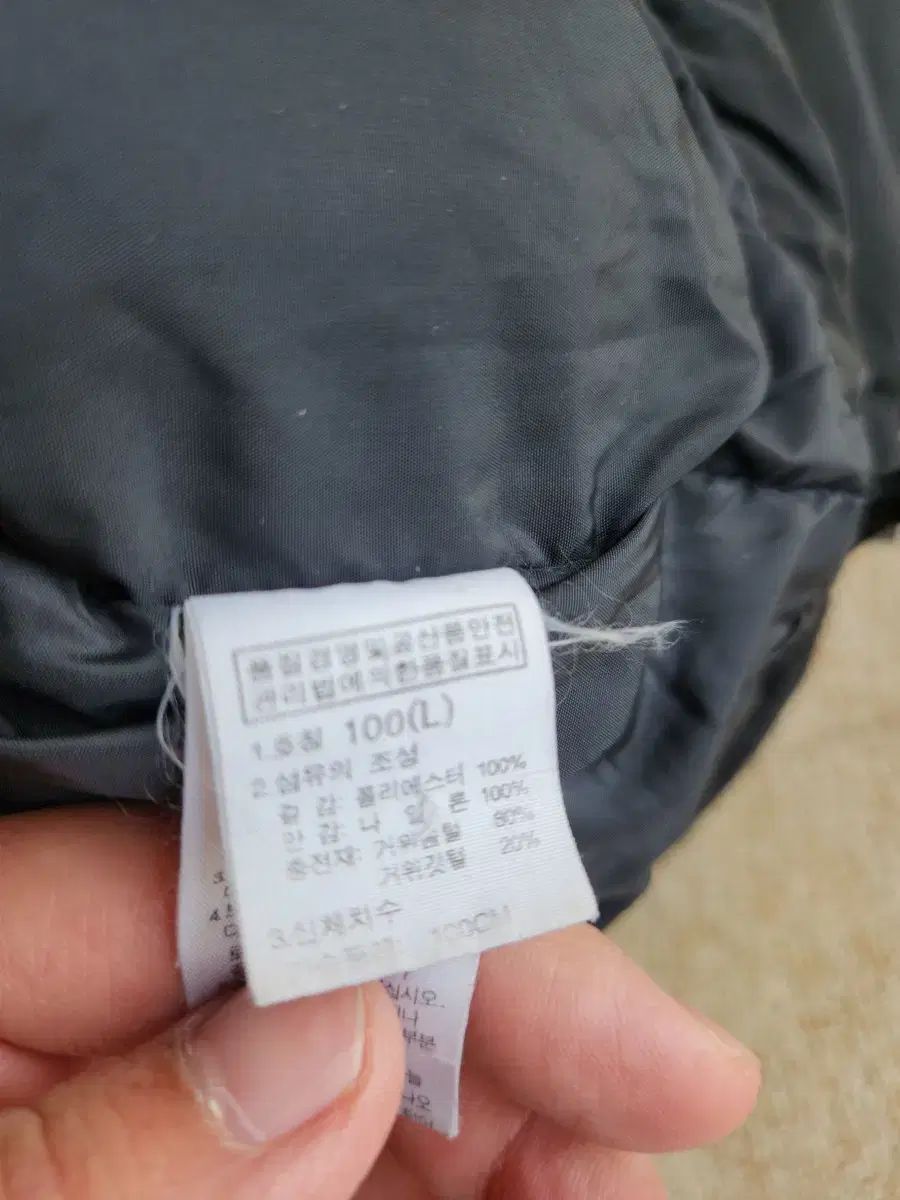 THE NORTH FACE ザノースフェイス 黒 グース ダウン L KANDAIZUMI_COM