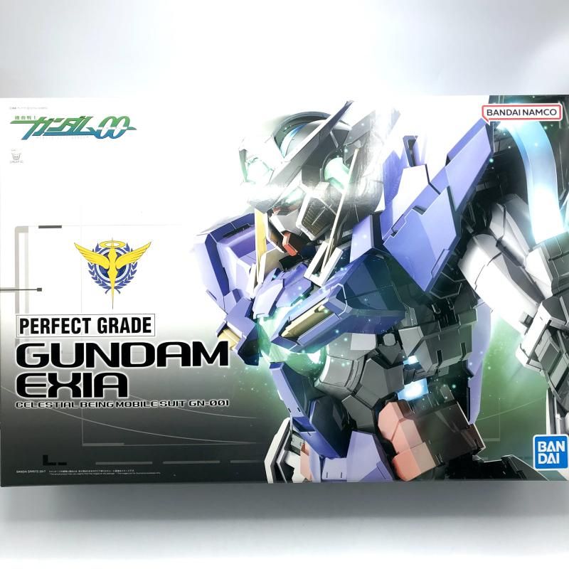 ﾊﾞﾝﾀﾞｲ PG 1 60 ｶﾞﾝﾀﾞﾑｴｸｼｱ 通常版 未組立品 13